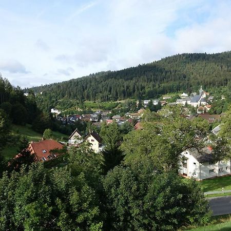 Zum Schwalbennest Apartment Todtmoos Exterior foto