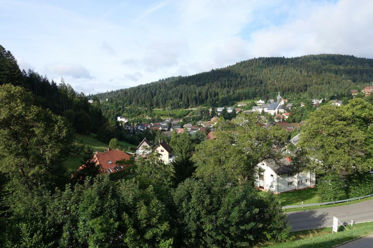 Zum Schwalbennest Apartment Todtmoos Exterior foto
